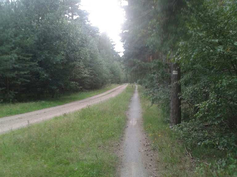 fahrrad weg von wenddeburg nach müden an der aller