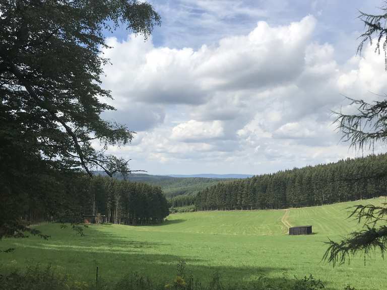 Schöne Tannenwälder Wanderungen und Rundwege komoot