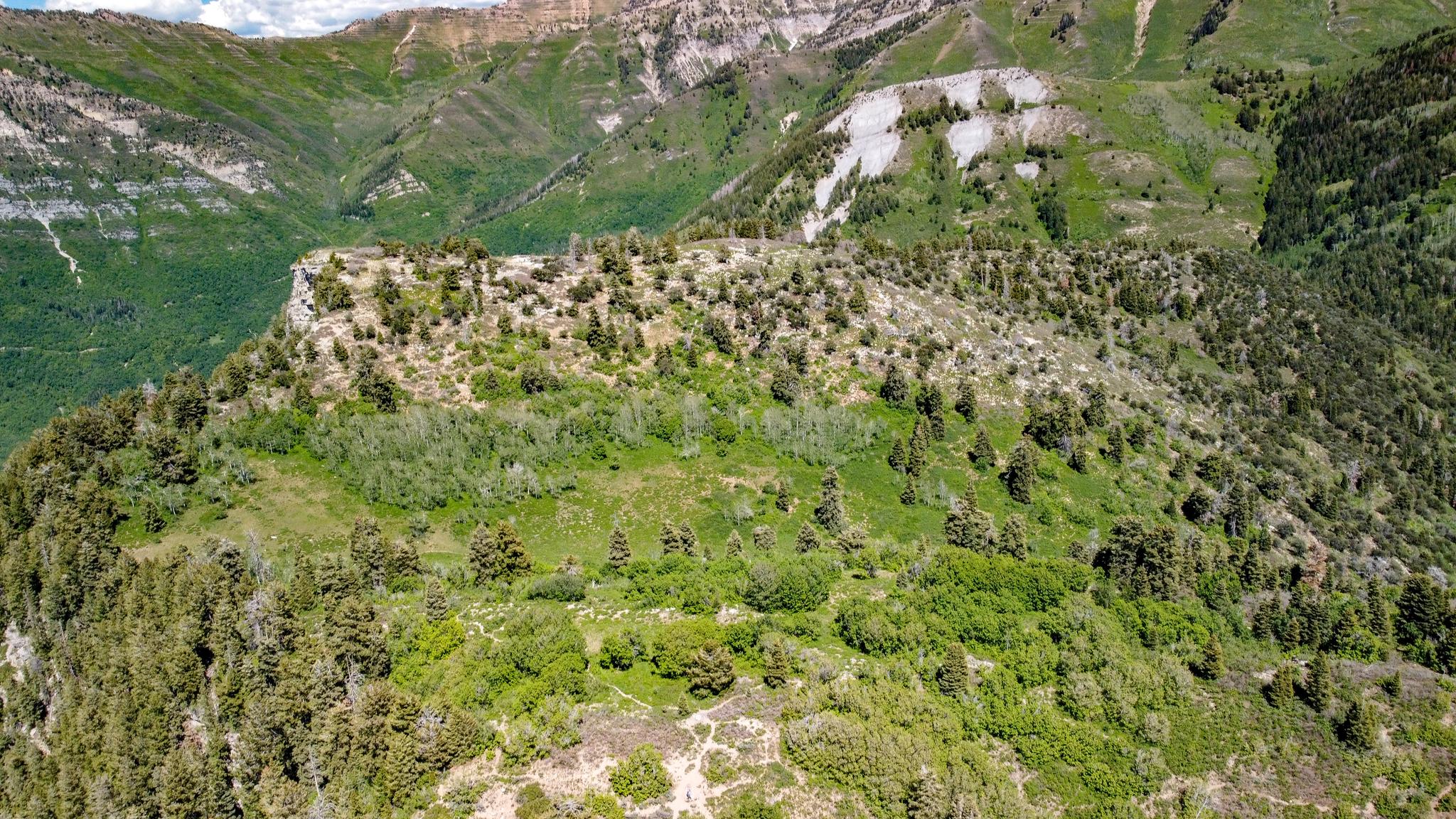 Aerial view of green, rugged mountains with scattered trees under bright sky.