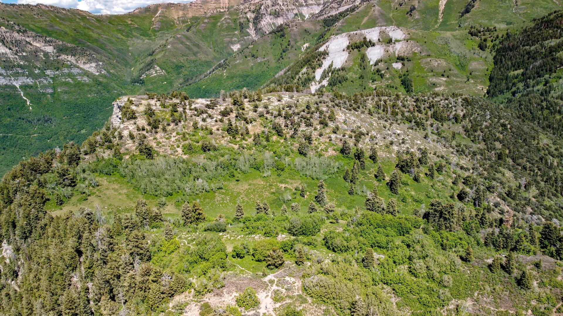 Aerial view of green, rugged mountains with scattered trees under bright sky.