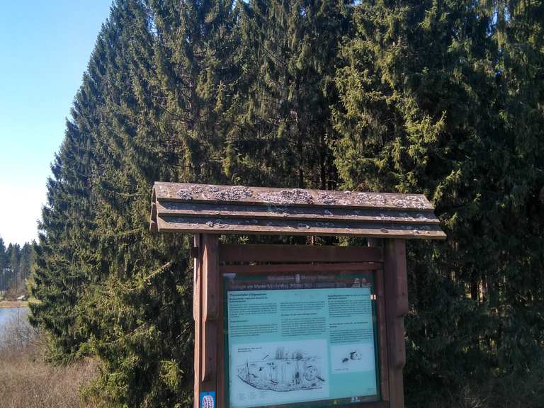 Oberer Flambacher Teich Wanderungen und Rundwege komoot