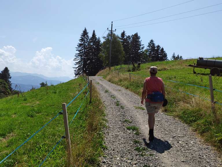 Höhenweg Pfänder Routes for Walking and Hiking | Komoot