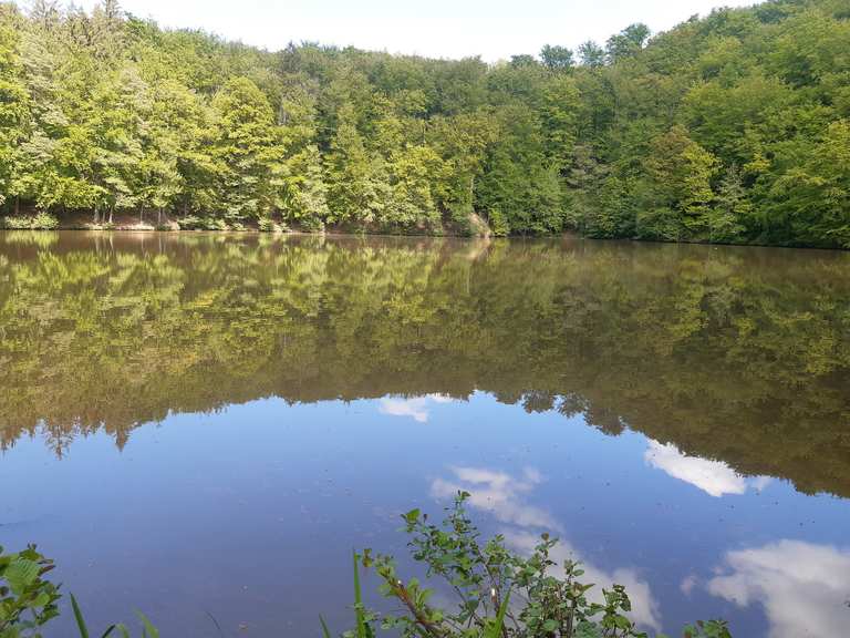 Schönsee Routes for Walking and Hiking | Komoot