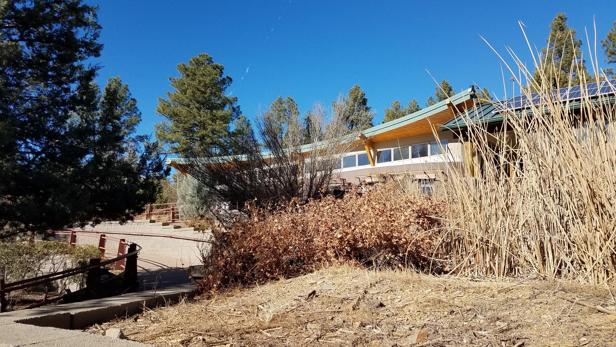 Modern building with solar panels nestled among trees under a clear blue sky.