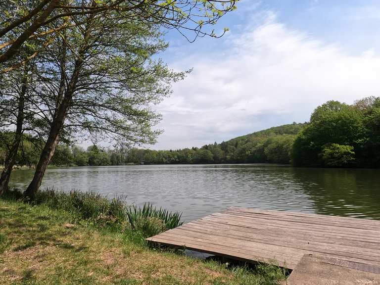 Vatteröder Teich MountainbikeTouren und Trails komoot