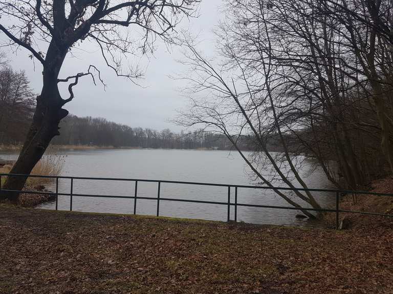 Vatteröder Teich Wanderungen und Rundwege komoot