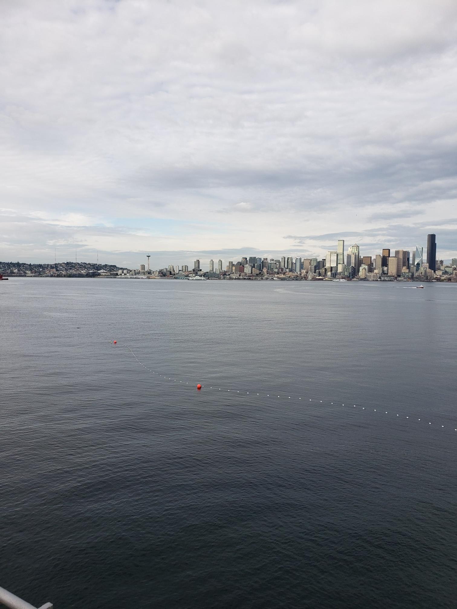 A distant city skyline stretches across a wide, calm body of water.