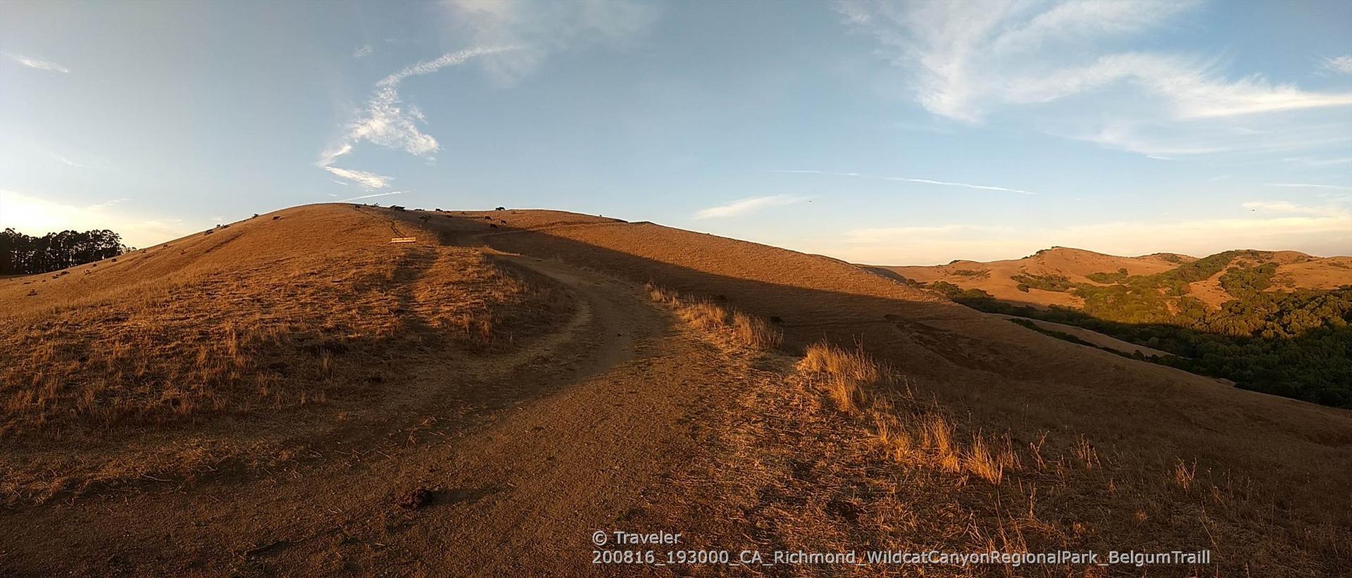 A dirt trail ascends a dry, golden hill under a clear, late afternoon sky.