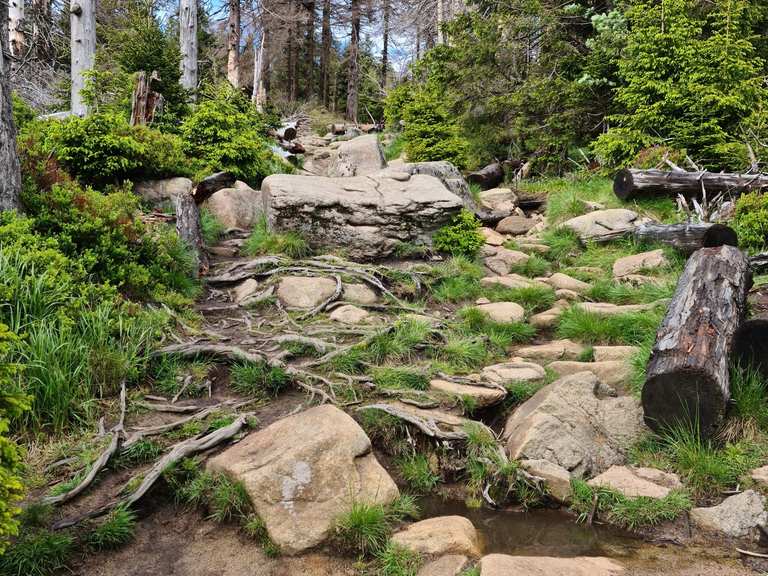 Eckerlochstieg: Wanderungen und Rundwege | komoot