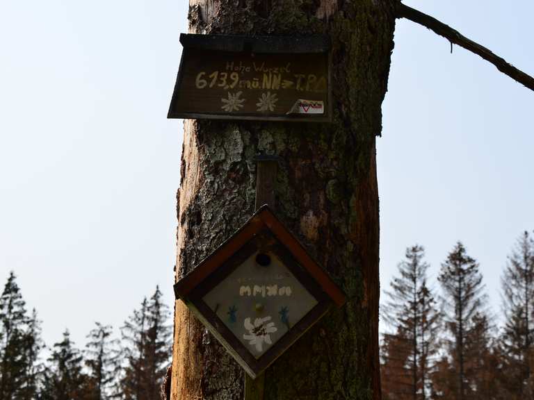 hohe wurzel wanderungen und rundwege komoot