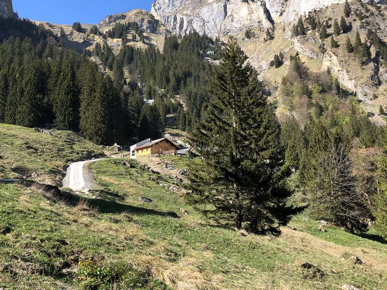 Alp Rohr - Sentiers et pistes de VTT | Komoot