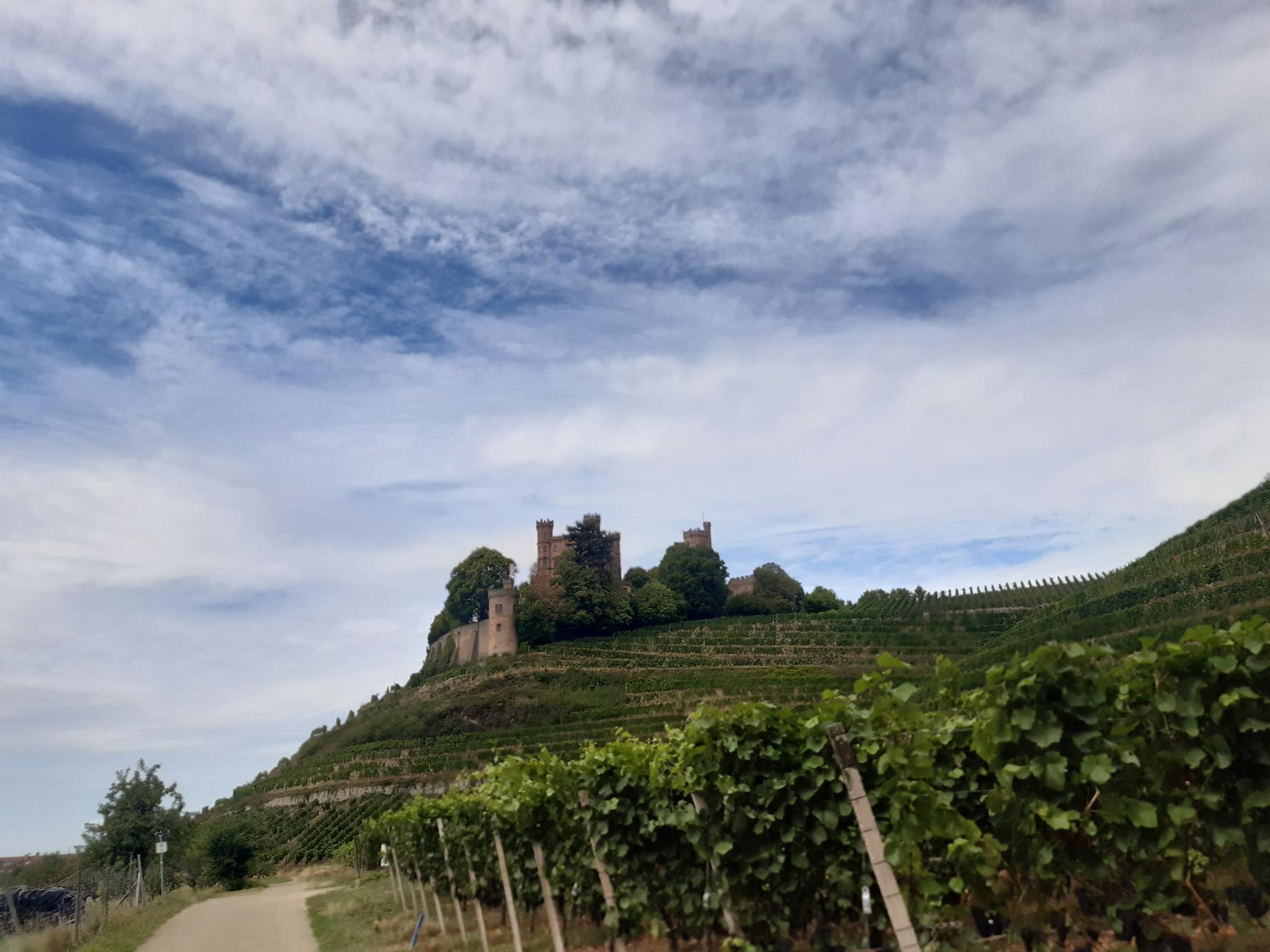 Aussicht Auf Schloss Ortenberg - Cycle Routes And Map | Komoot