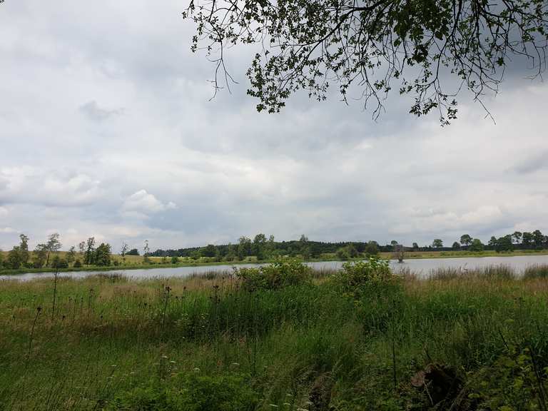 OberMooser Teich Wanderungen und Rundwege komoot