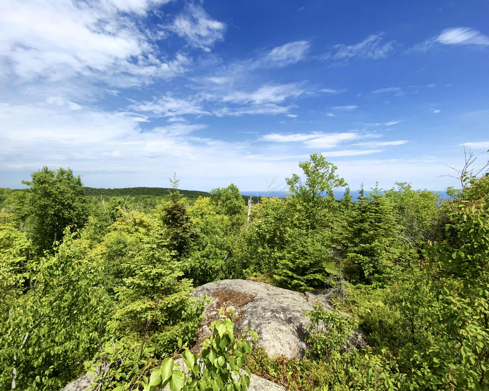 Bright sunny view over dense green forest with a large rock.