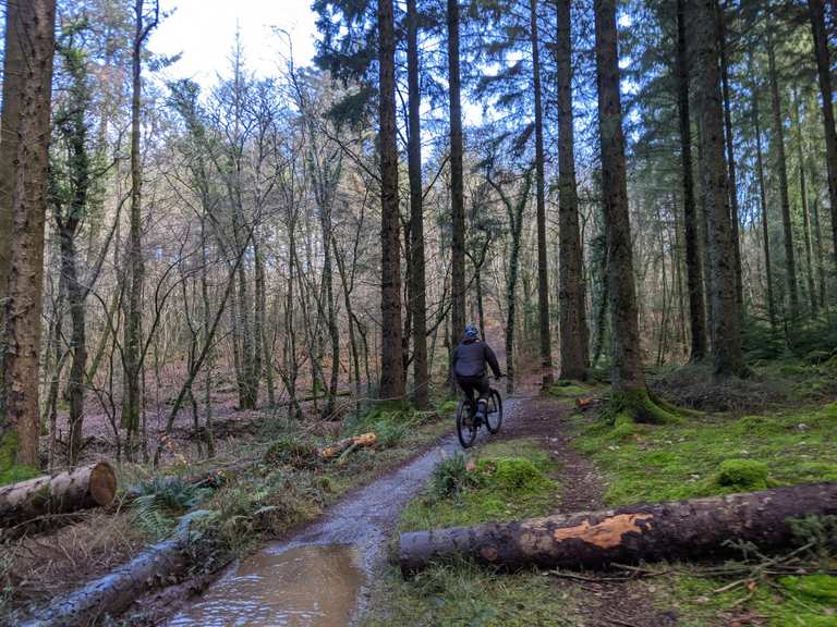 Haldon Belvedere and the Estuary — Exeter gravel routes | gravel ride ...