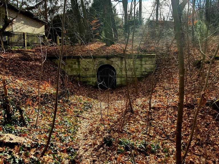 Schwarzes Teich Routes for Walking and Hiking Komoot