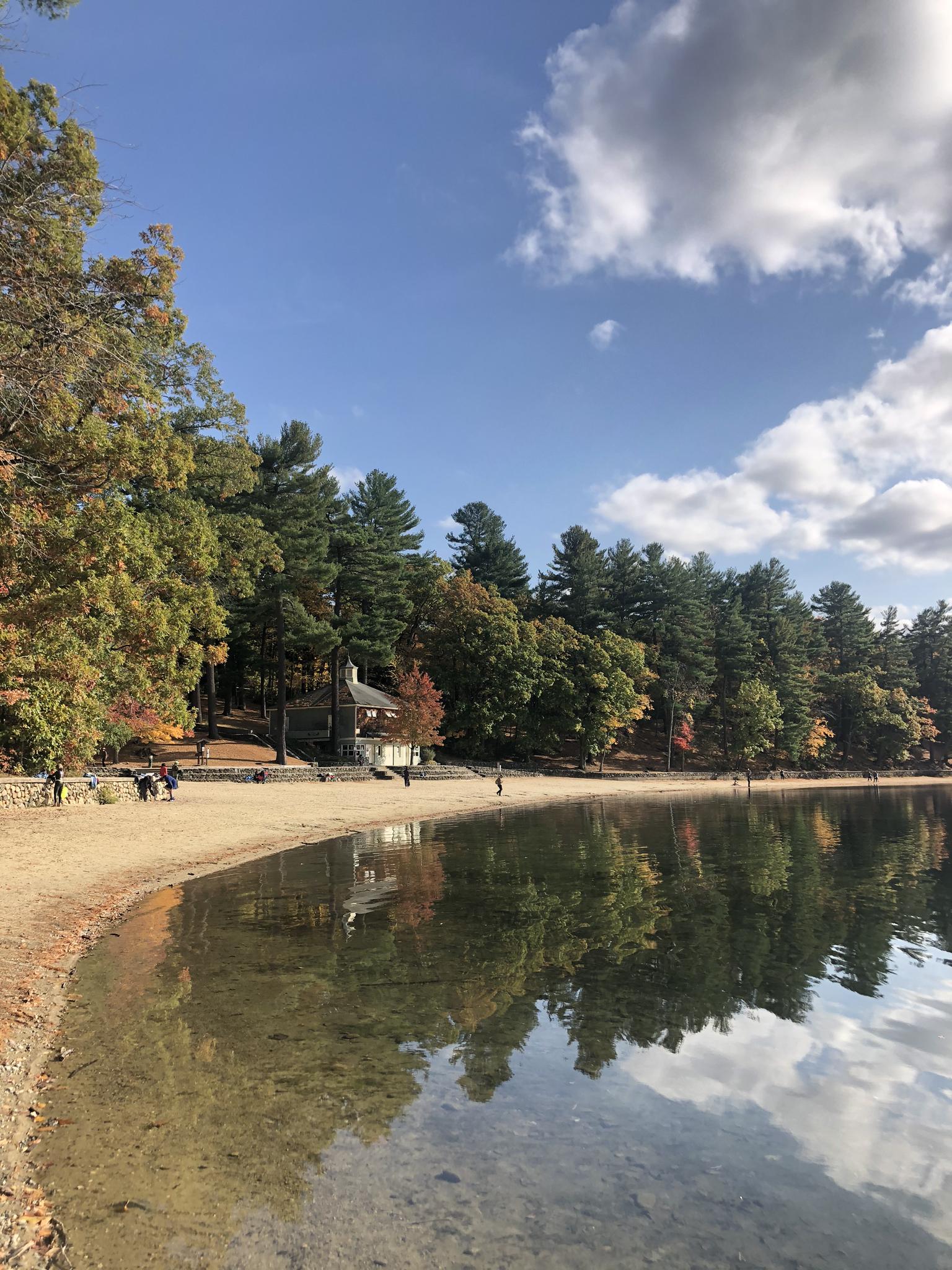 Sandy lake beach with people, trees, and reflections under a blue sky.