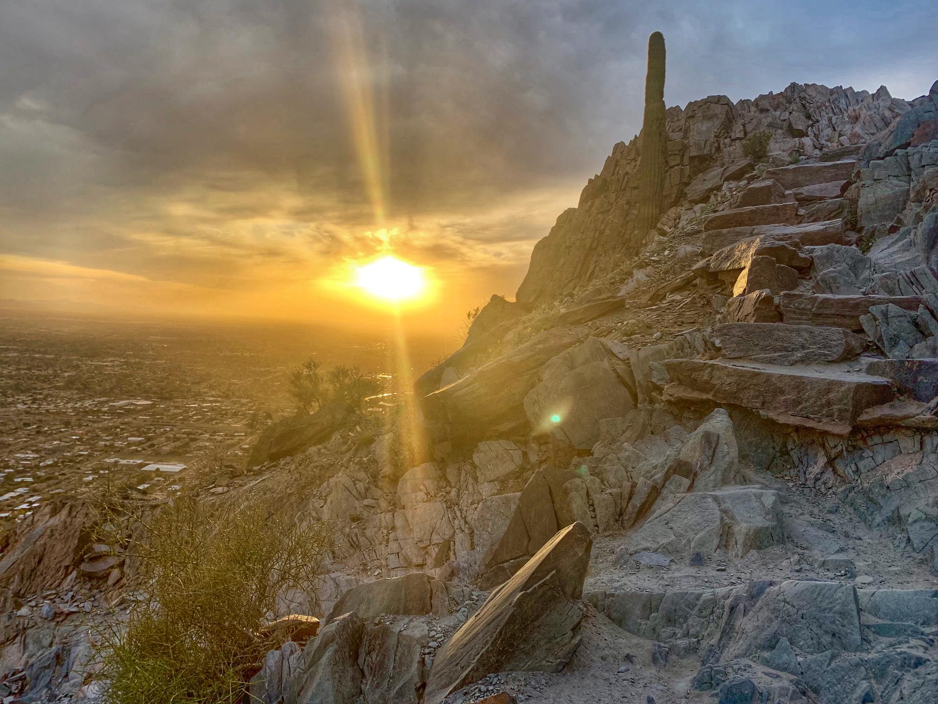 Sunset over a desert city, with a rocky trail and saguaro cactus.