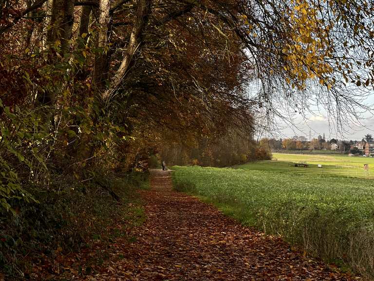 Königsdorfer Wald fietsroutes en kaart | Komoot