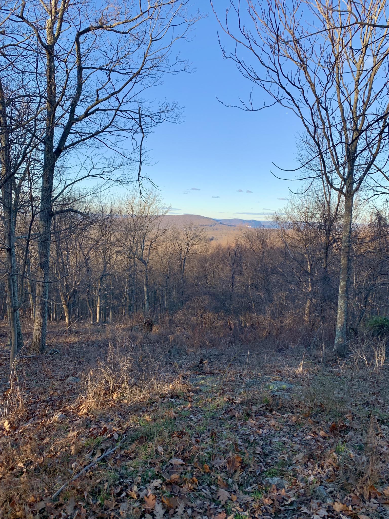 Bare trees frame a view of wooded hills and distant mountains under a clear sky.