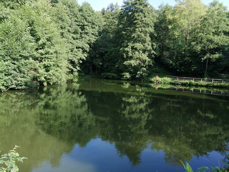 SchöneSprücheWeg Teich Dornwiese Runde von Solardraisine Mörlenbach