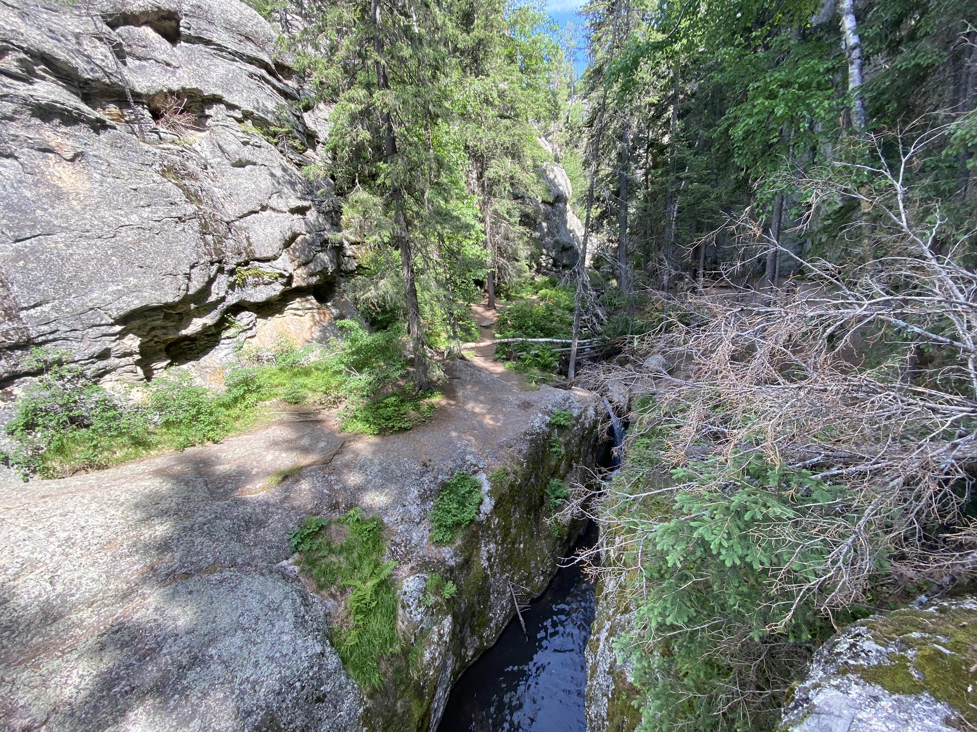 A narrow, rocky gorge with a stream and forested path.