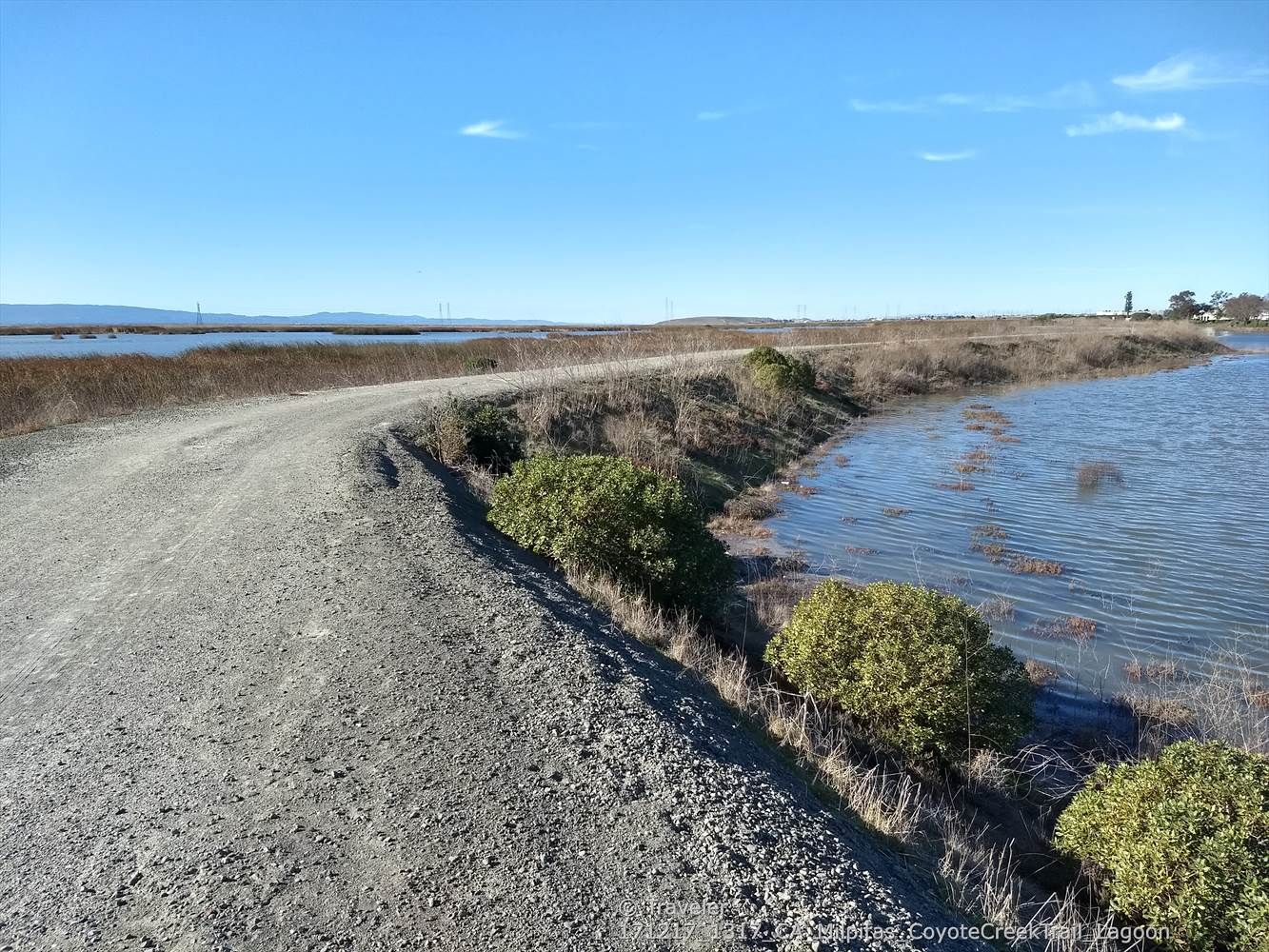 A gravel path curves alongside water and marshland under a blue sky. - Ohlone College to Coyote Creek Trail loop