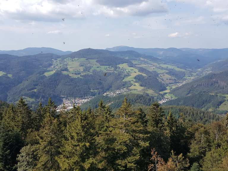 Aussichtsturm auf der Hohen Möhr - Mountain Bike Trails & Tracks | Komoot