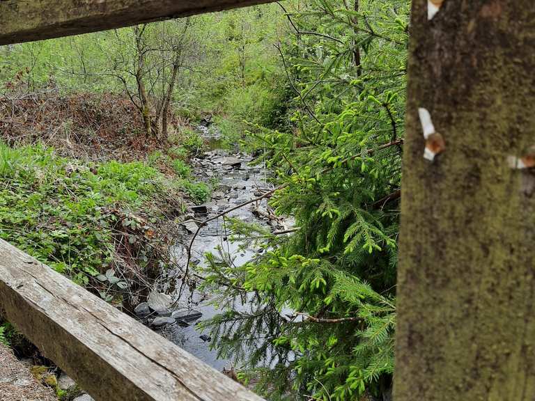 Oberer Spiegeltaler Teich Routes for Walking and Hiking Komoot
