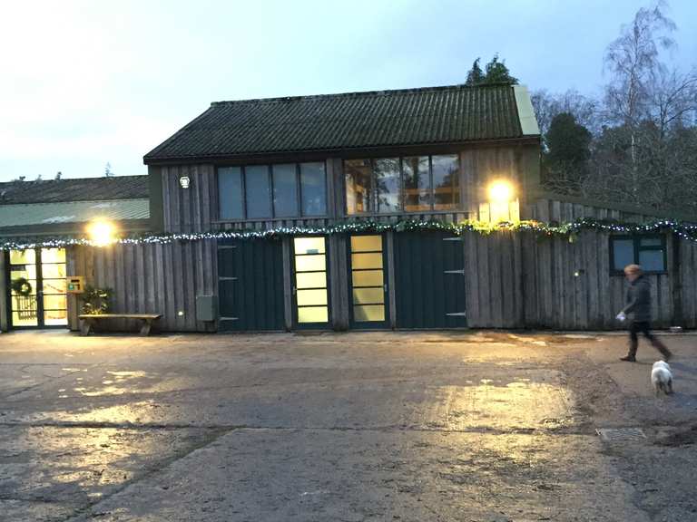 The Ridge Café, Haldon Forest Park - Mountain Bike Trails & Tracks | Komoot