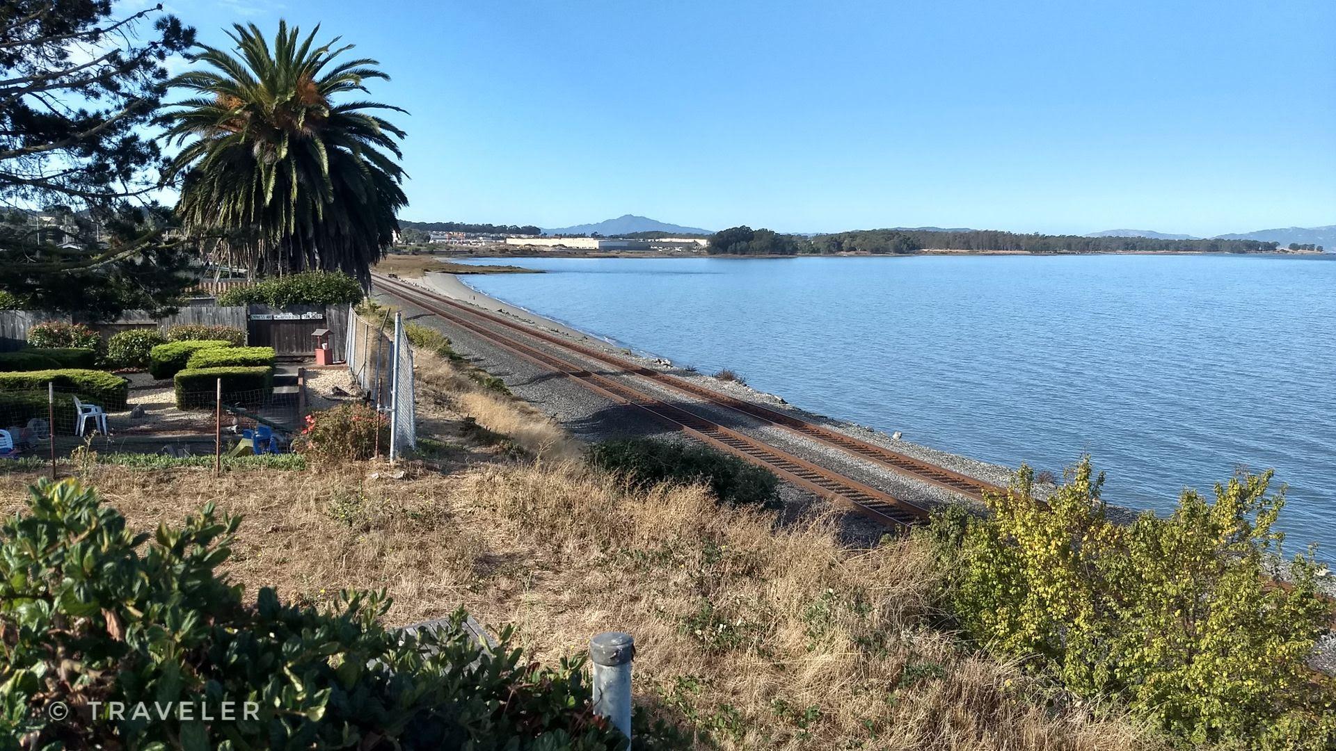 Sunny view of railroad tracks running along calm blue water with a palm tree.