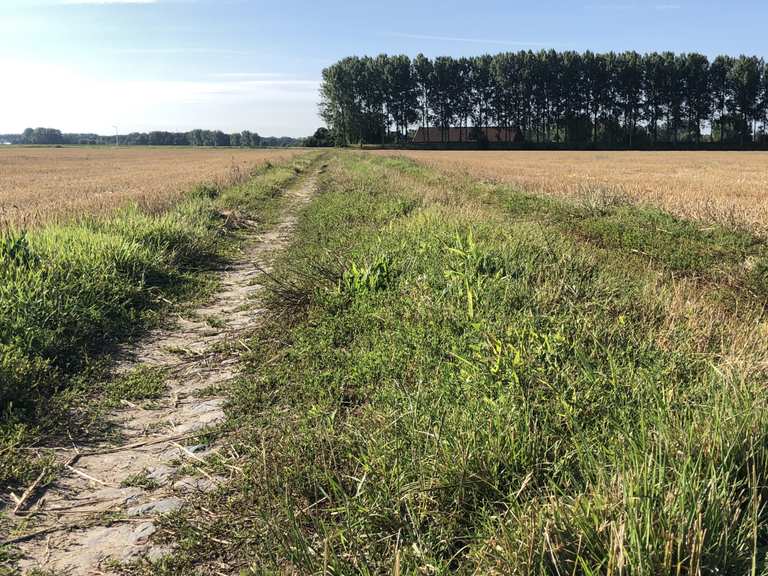 Kopfsteinpflastergasse Kijkuitstraat Clinge: Radtouren und Radwege | komoot