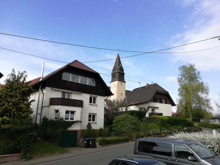 WendelinusRadweg zwischen Sankt Wendel und Tholey MountainbikeTouren