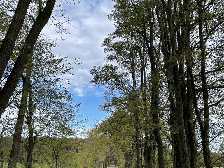Zwischen Lübbinchen und Groß Drewitz Rennradfahren und Rennradtouren