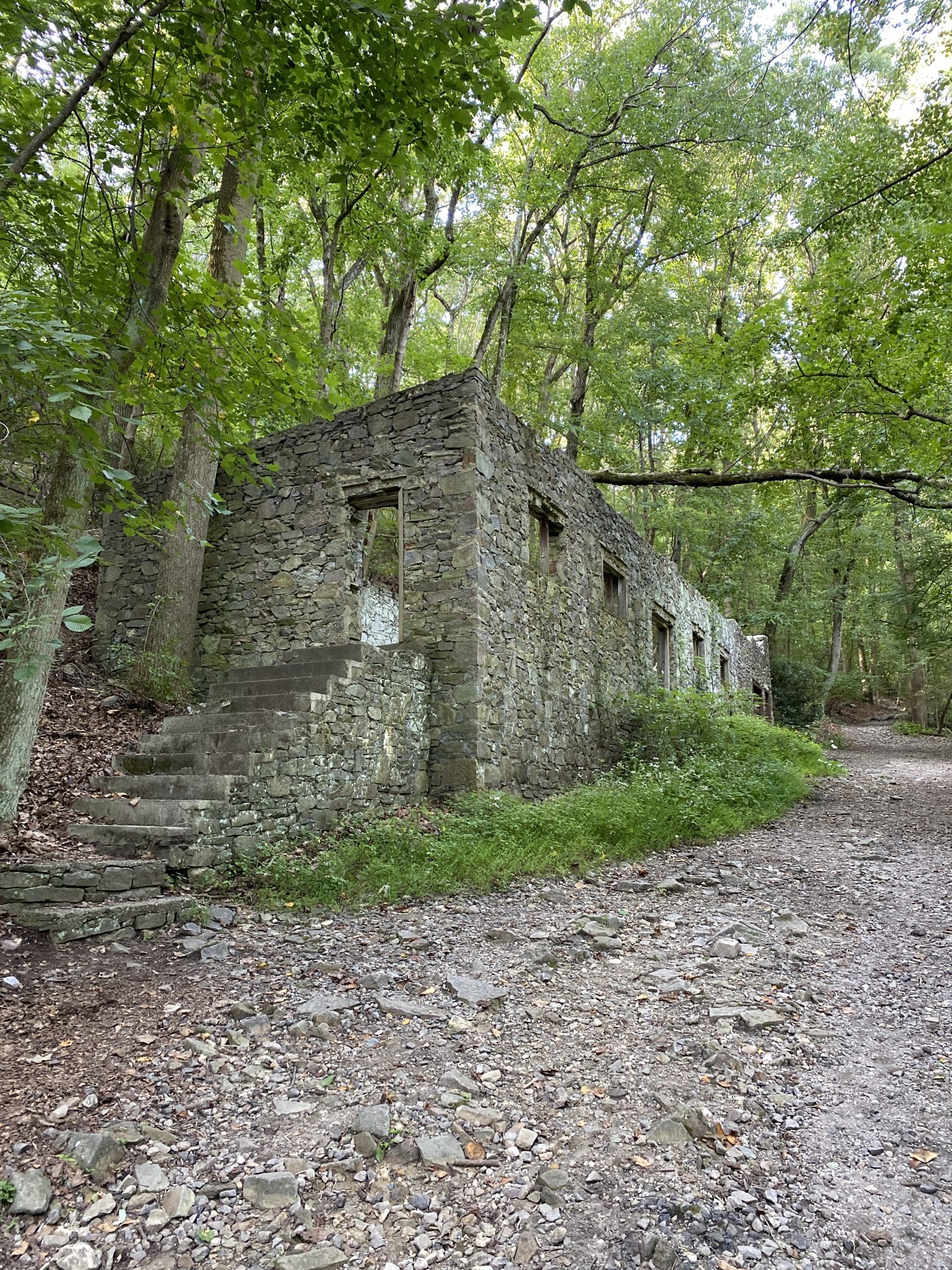 Stone ruins with stairs next to a dirt path in a lush green forest. - Mount Joy Trail to Mount Misery Trail Loop