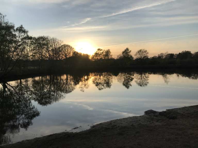 Kleiner aber feiner Teich im goldigen Schein eines Sonnenuntergangs