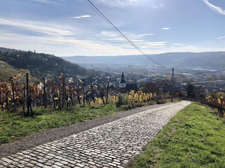Stuttgart-Obertürkheim Routes for Walking and Hiking | Komoot