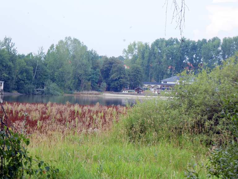 Großer Teich LimbachOberfrohna, Zwickau Wandertipps & Fotos Komoot