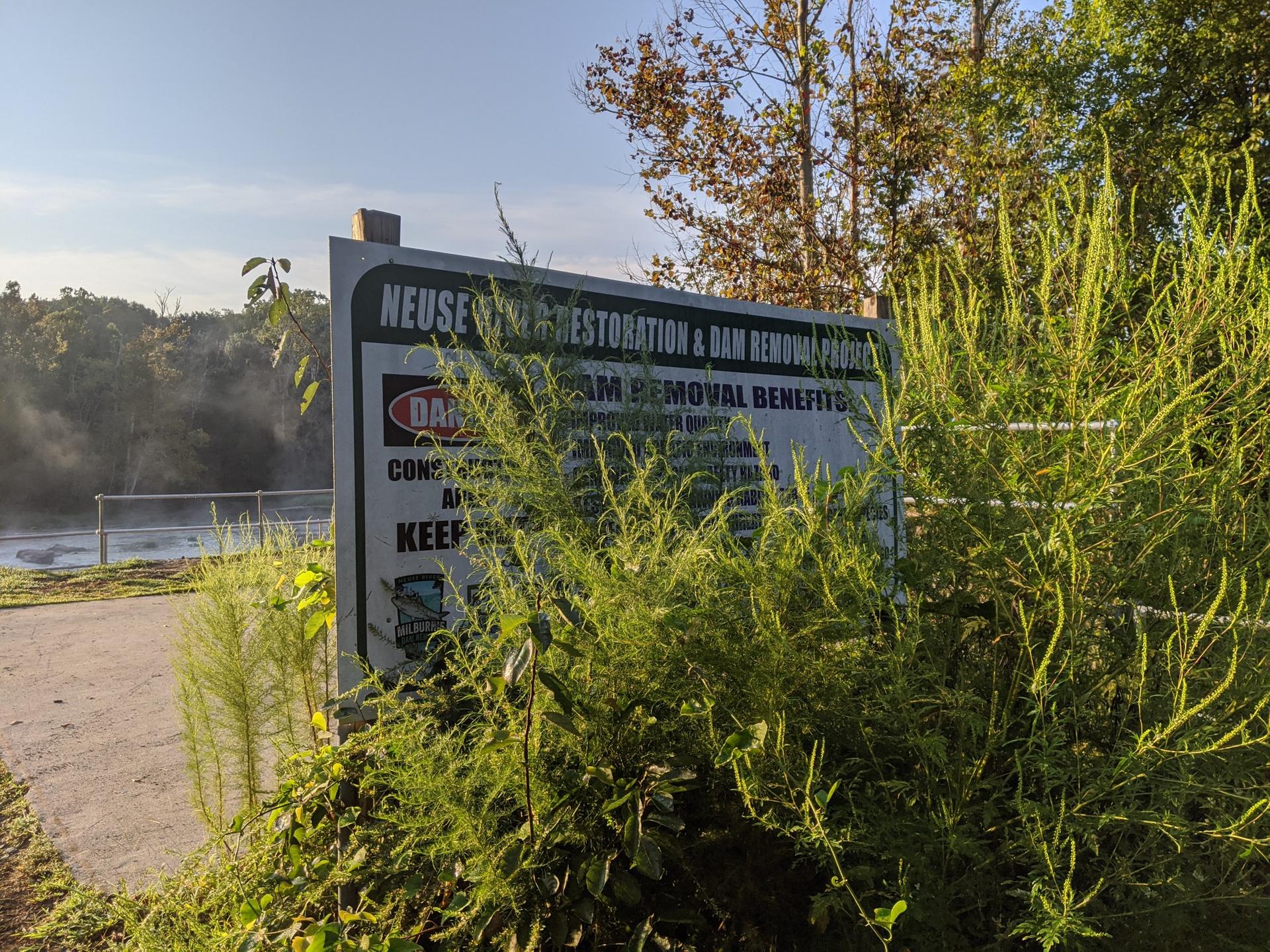 Sunny view of a sign partially hidden by green plants near a misty river.