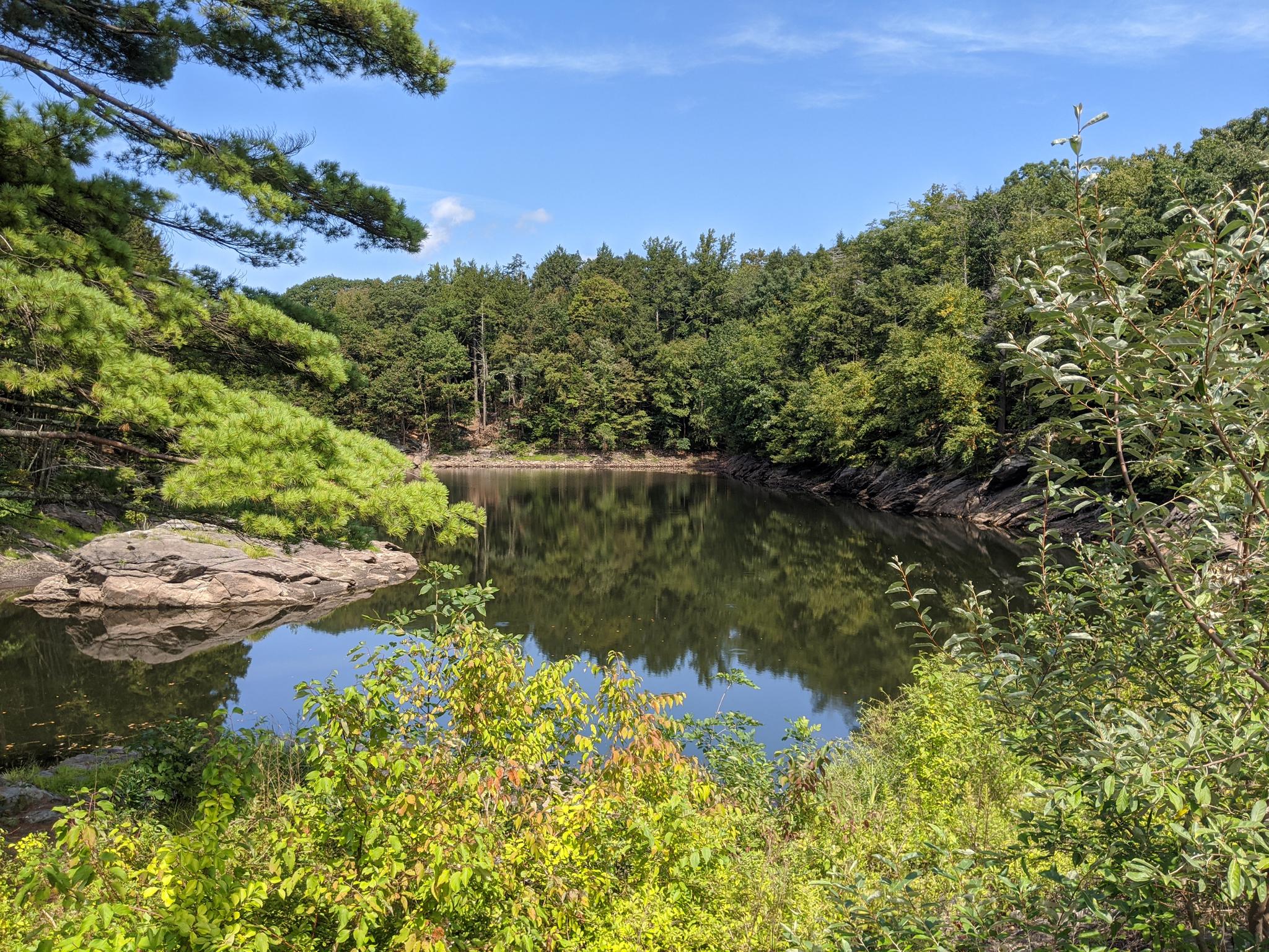 A serene lake reflects green trees and a bright blue sky.