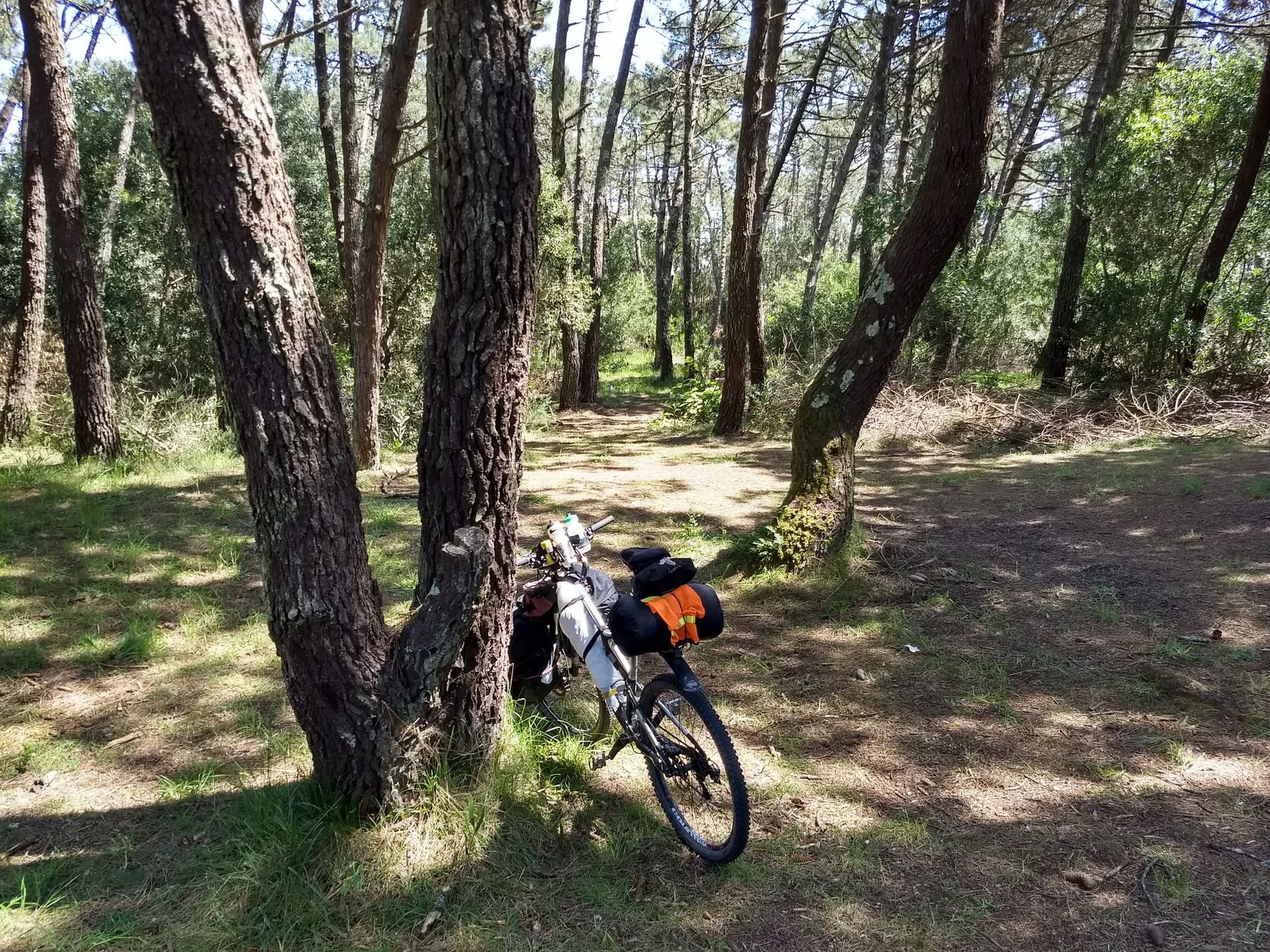 fahrrad 20 zoll kaufen Ollo Adventure Bike Kinderfahrrad ab 6 Jahren Ordnerfarbe:hellblau Rugged Stunt-Scooter Fahrrad BMX Weiß-Grün