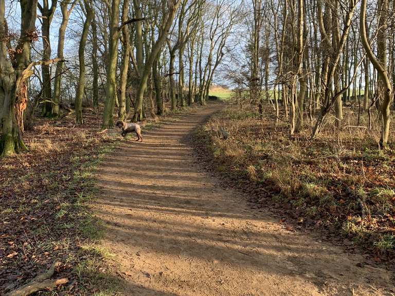 Bredon Hill Parsons' Folly, Bredon Hill Loop from Overbury hike