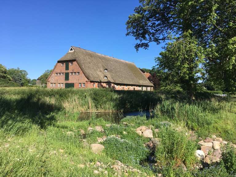 Gut Bienebek Wanderungen und Rundwege komoot