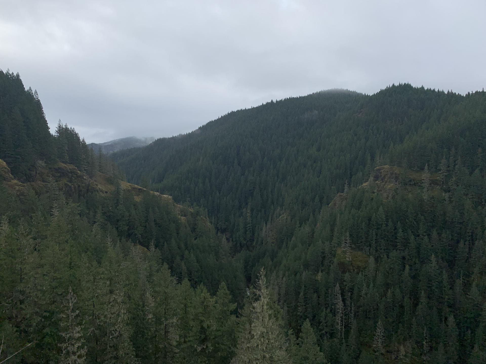 Dense evergreen forests cover rolling mountains under a cloudy sky.