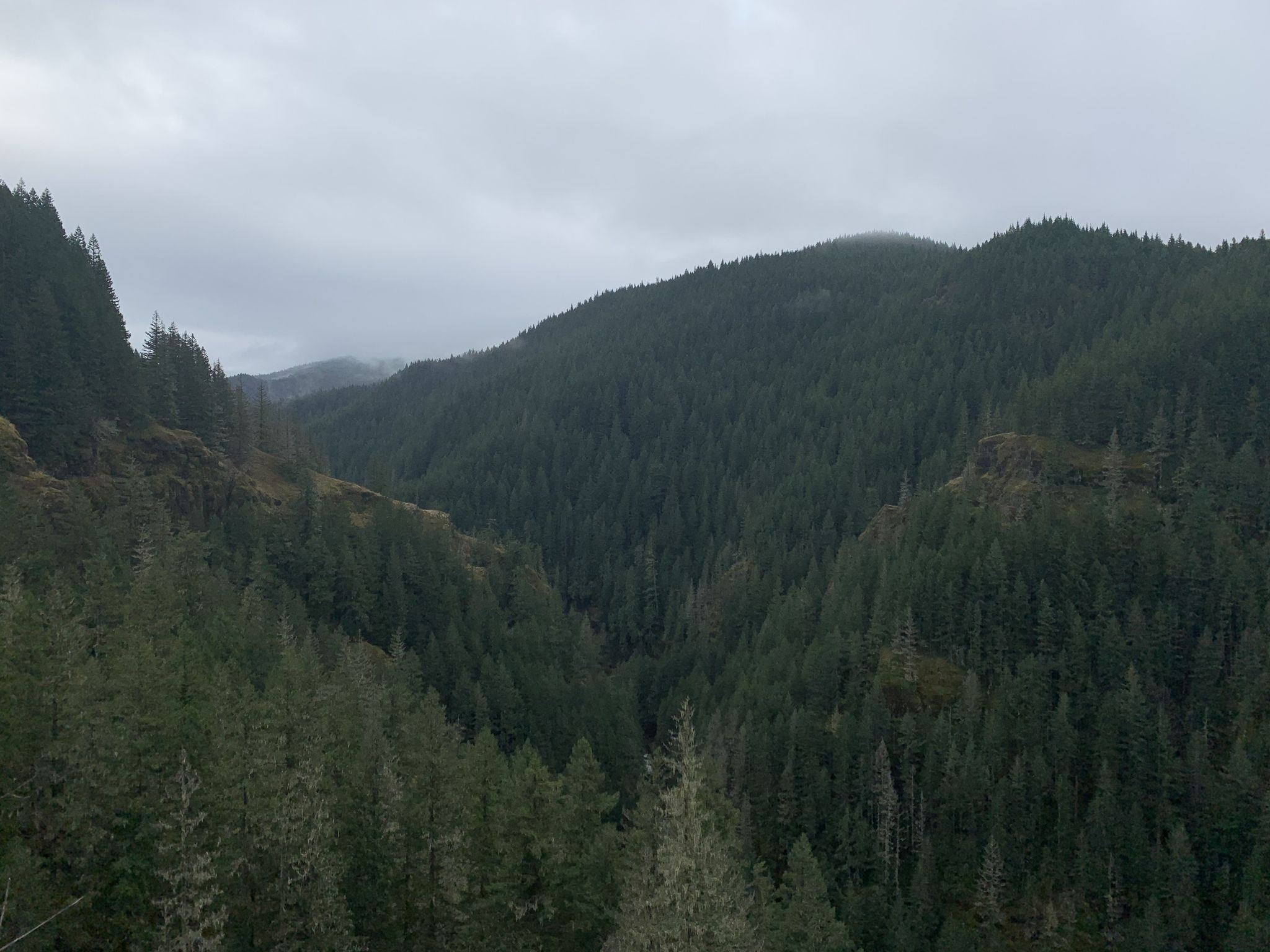Dense evergreen forests cover rolling mountains under a cloudy sky. - Salmon River Trail