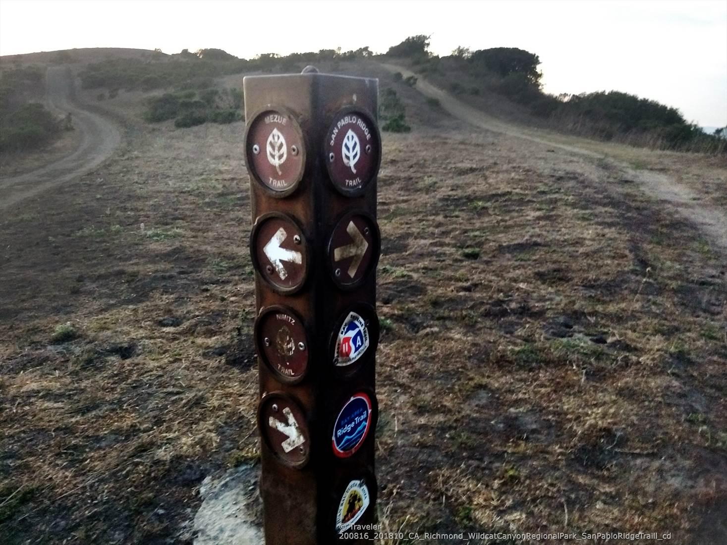 Wooden trail marker post with arrows and symbols on a dry, hilly path.