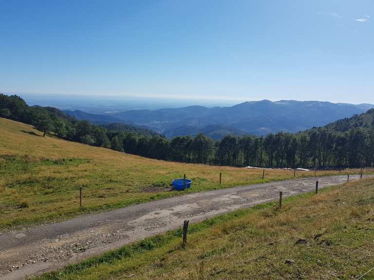ROUTE DES CRÊTES: Wanderungen und Rundwege | komoot
