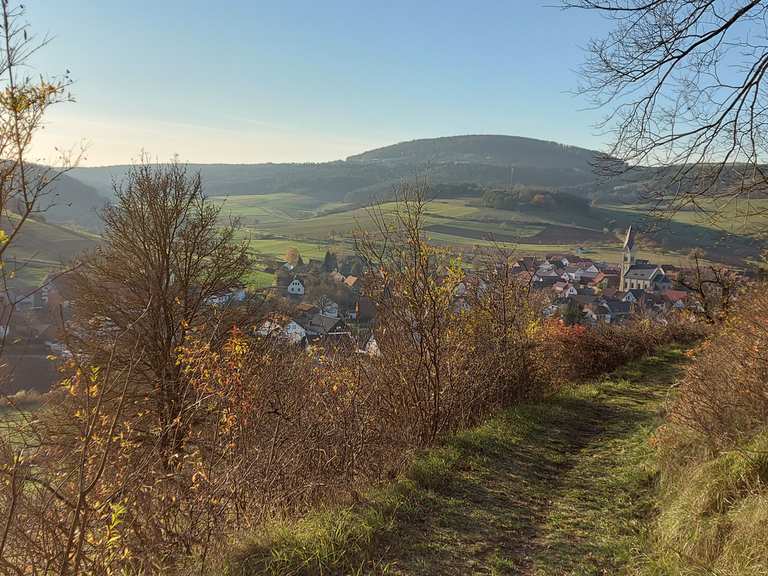 Kleiner Flowtrail Obereschenbach MountainbikeTouren komoot