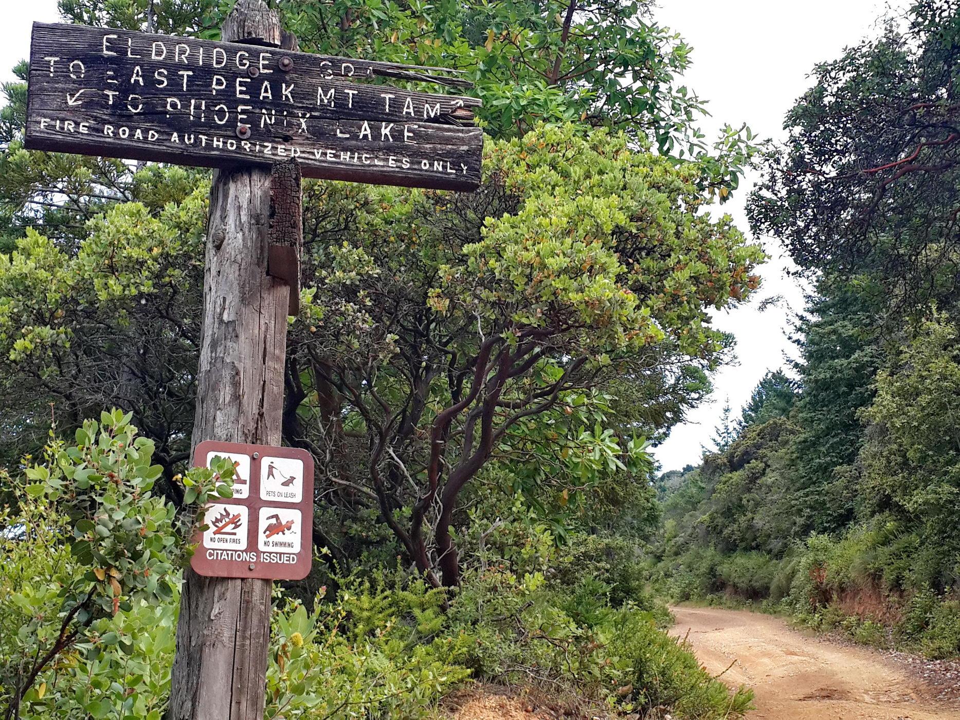 Weathered wooden trail sign next to a dirt path, surrounded by green trees.