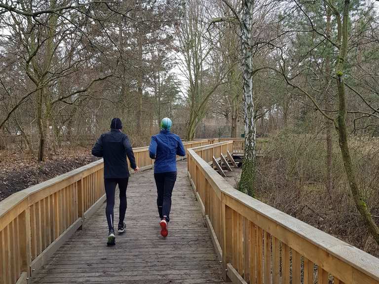 Rixdorfer Teich Touren und Karten komoot